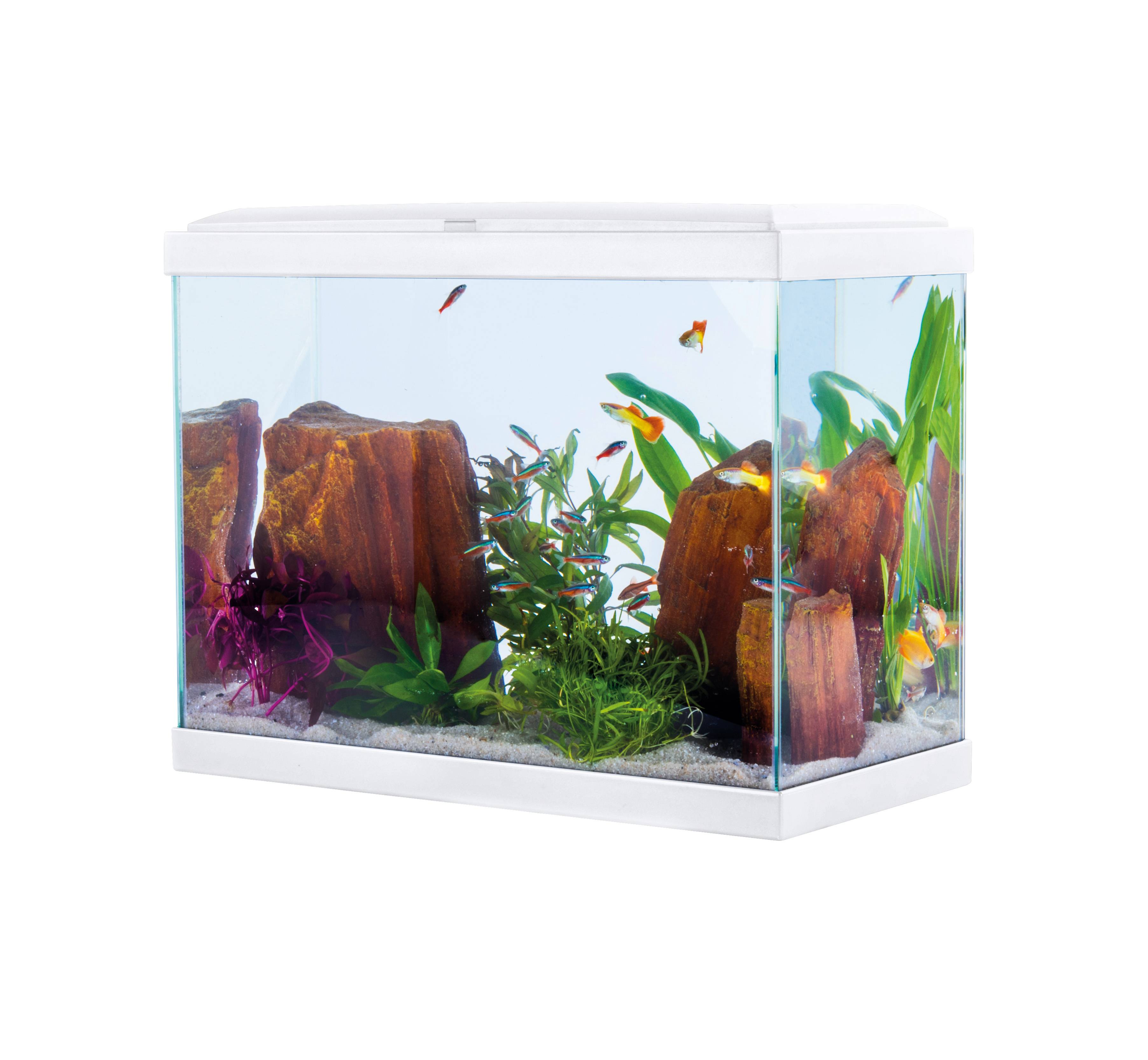 Pure Family - Aquarium pour poisson Fresh 40 Led blanc 20 L - Pure Family - Image 6