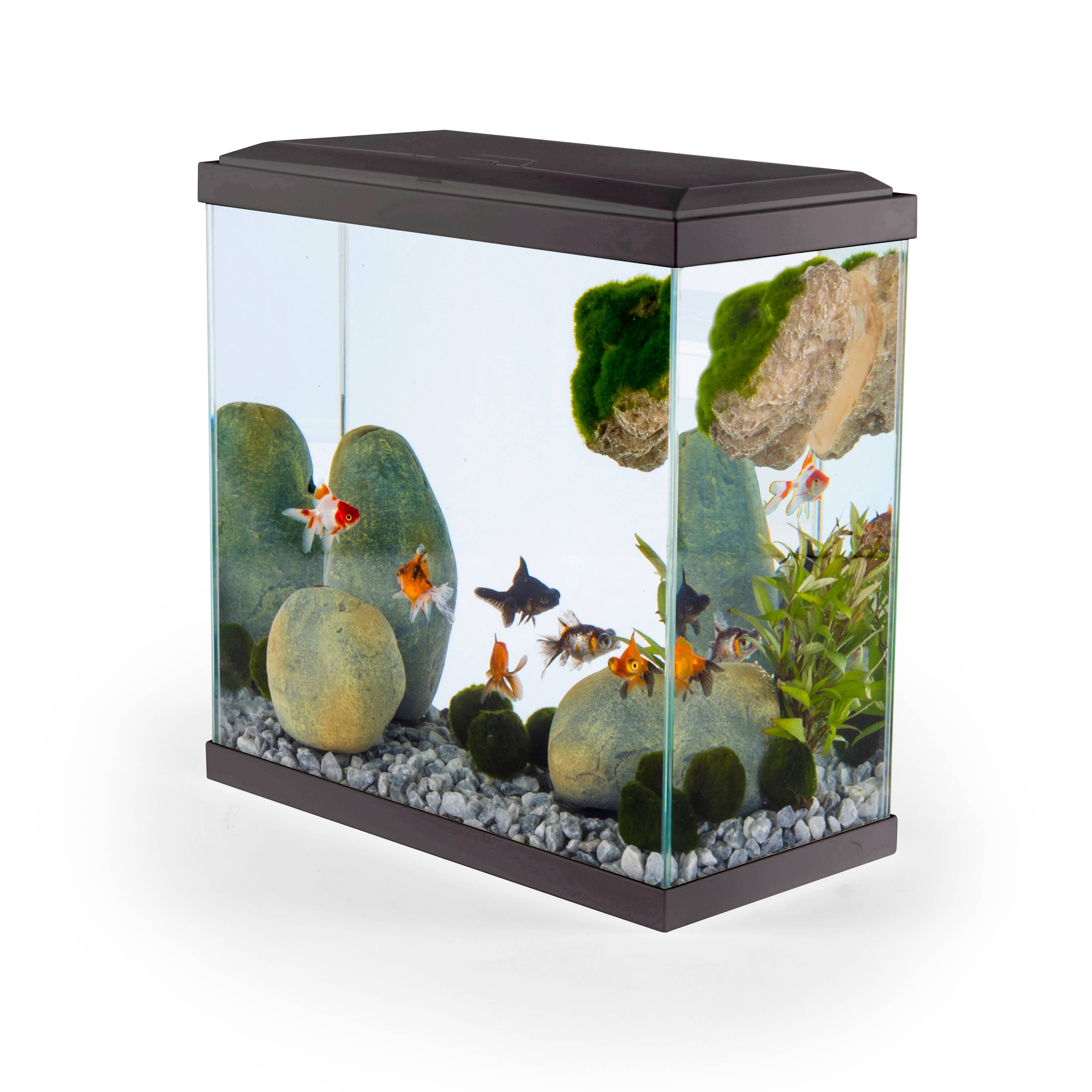 Pure Family - Aquarium pour poisson Fresh 40 XL Led gris 25 L - PURE FAMILY - Imagen 6