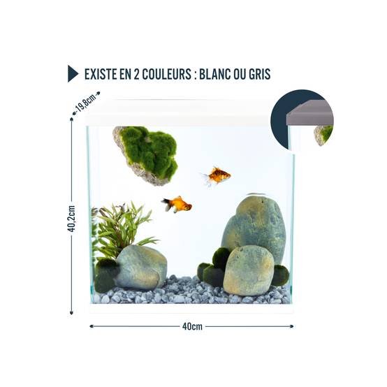 Pure Family - Aquarium pour poisson Fresh 40 XL Led gris 25 L - PURE FAMILY - Image 7