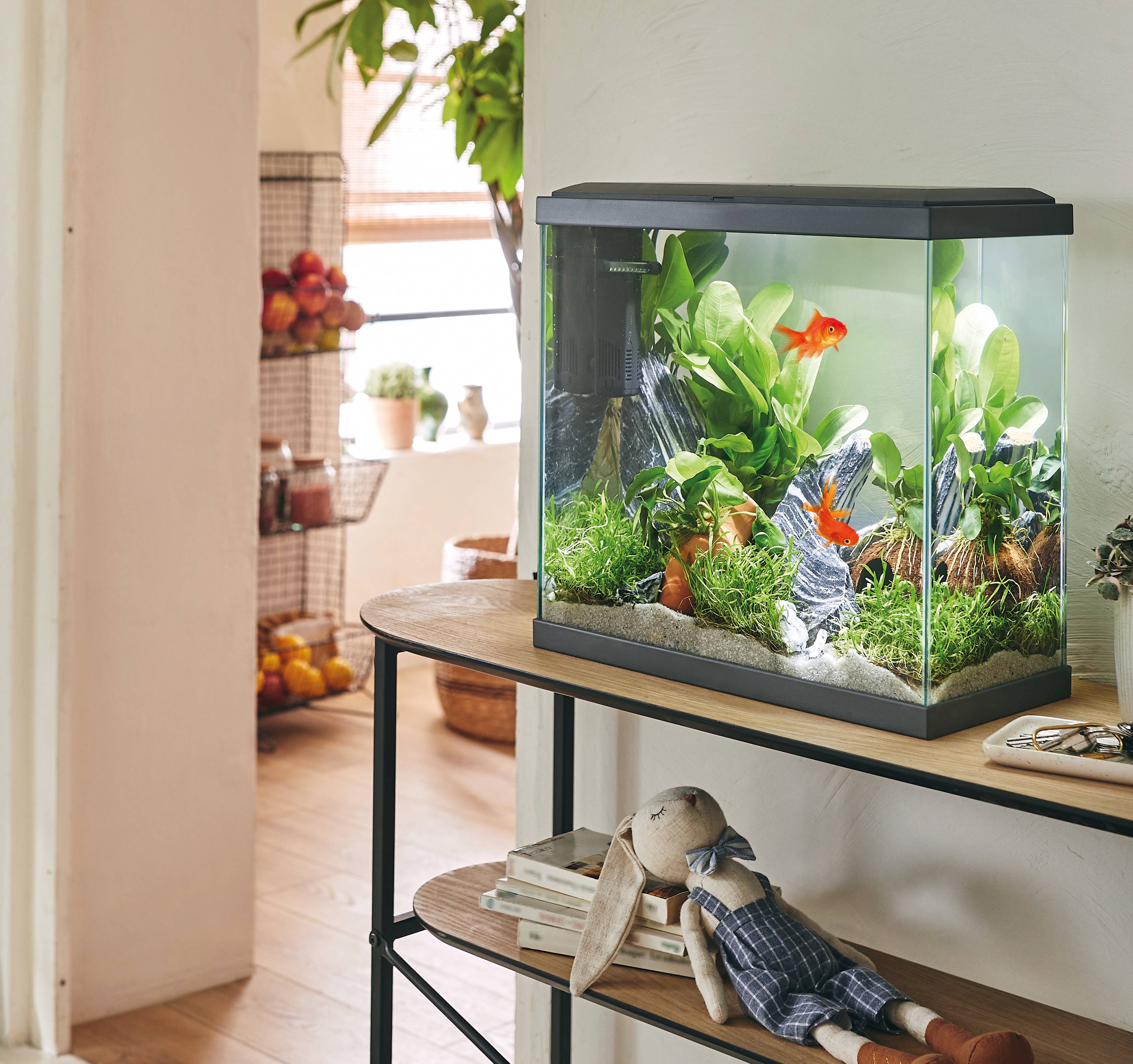 Pure Family - Aquarium pour poisson Fresh 40 XL Led gris 25 L - PURE FAMILY