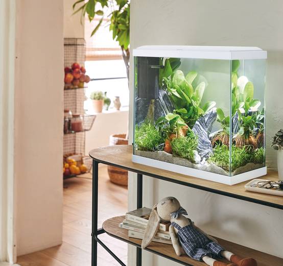 Pure Family - Aquarium pour poisson Fresh 40 XL Led blanc 25 L - Pure Family - Image 1