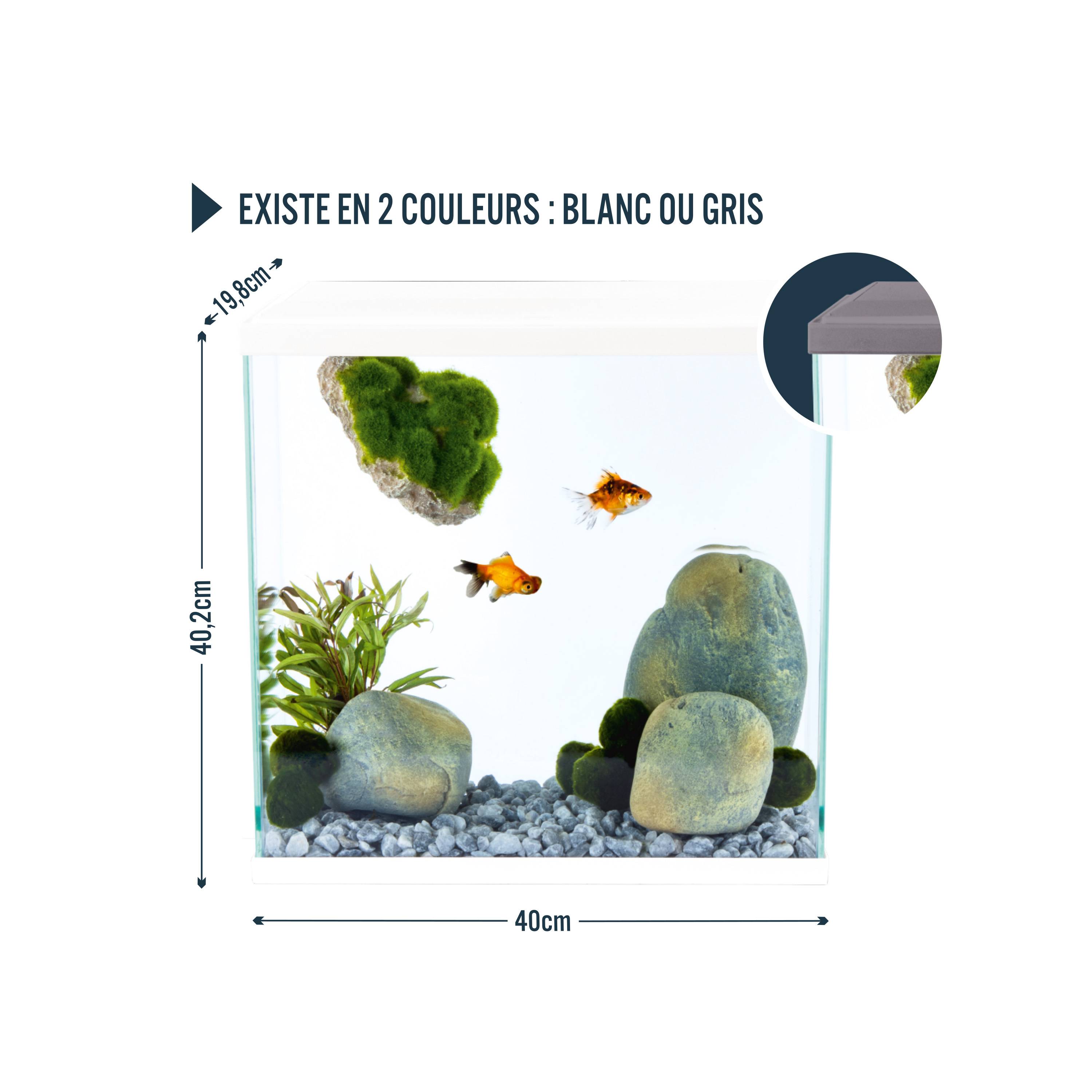 Pure Family - Aquarium pour poisson Fresh 40 XL Led blanc 25 L - Pure Family - Image 11