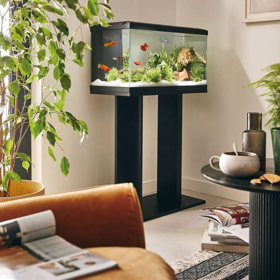 Pure Family - Aquarium pour poisson Tropical Pur 60 noir 48 L - Pure Family - Image 2
