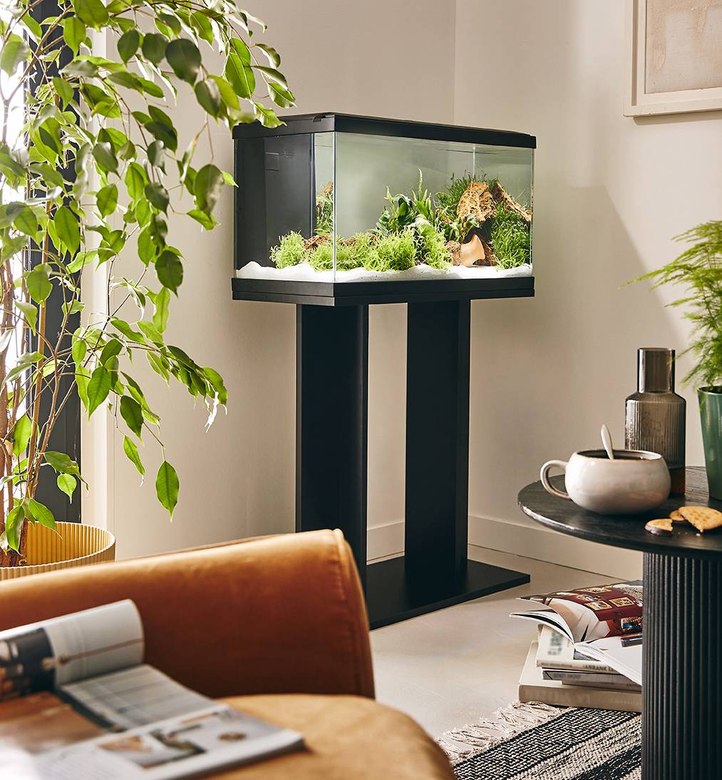 Pure Family - Aquarium pour poisson Tropical Pur 60 noir 48 L - Pure Family