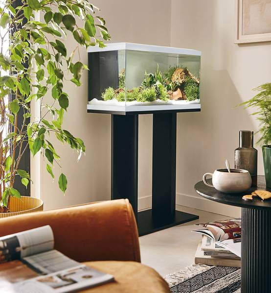Pure Family - Aquarium pour poisson Tropical Pur 60 blanc 48 L - Pure Family - Image 2