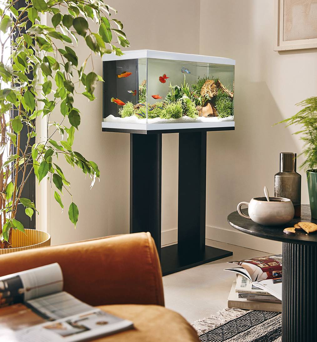 Pure Family - Aquarium pour poisson Tropical Pur 60 blanc 48 L - Pure Family