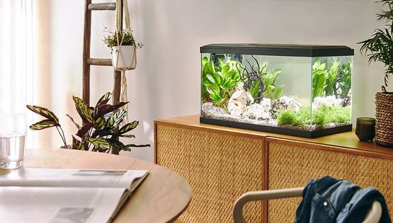 Pure Family - Aquarium pour poisson Tropical 60 gris 48 L - Pure Family - Image 1