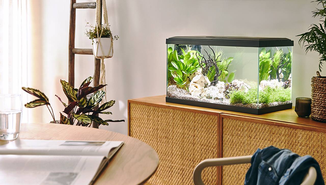 Pure Family - Aquarium pour poisson Tropical 60 gris 48 L - Pure Family