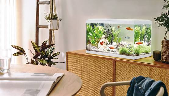 Pure Family - Aquarium pour poisson Tropical 60 blanc 48 L - Pure Family - Image 1