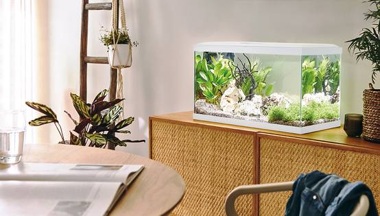 Pure Family - Aquarium pour poisson Tropical 60 blanc 48 L - Pure Family - Image 2