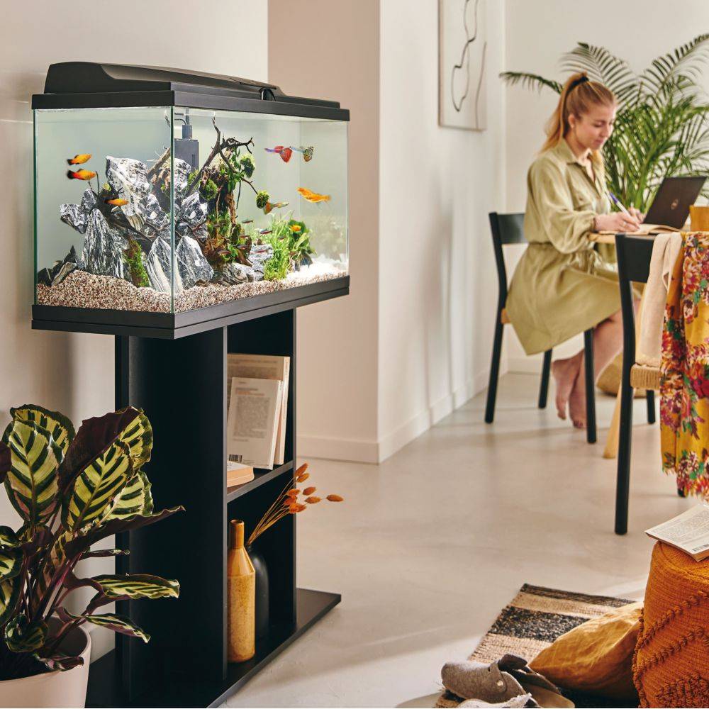 Pure Family - Aquarium pour poisson Tropical 80 Noir 81L - Pure Family - Image 4