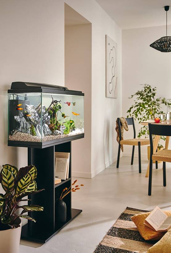 Pure Family - Aquarium pour poisson Tropical 80 Noir 81L - Pure Family - Image 1