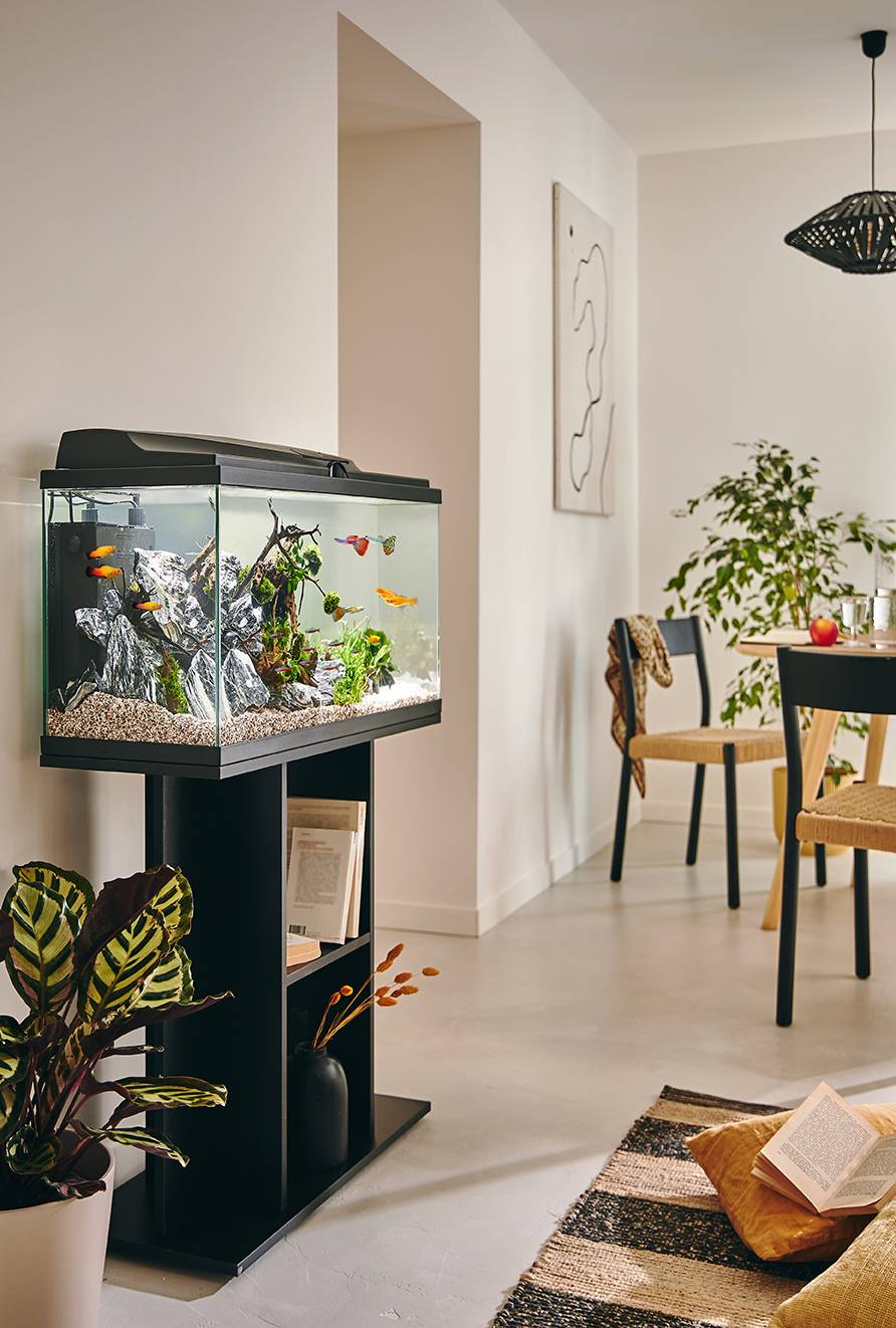 Pure Family - Aquarium pour poisson Tropical 80 Noir 81L - Pure Family