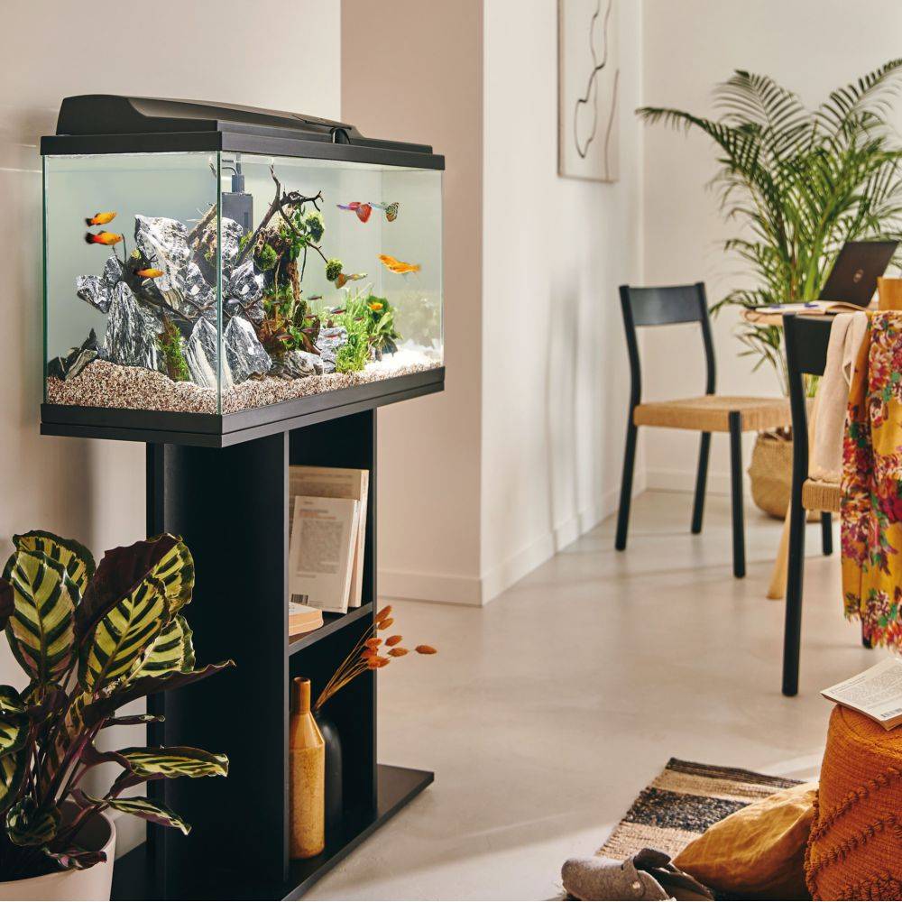 Pure Family - Aquarium pour poisson Tropical 80 Noir 81L - Pure Family - Image 2