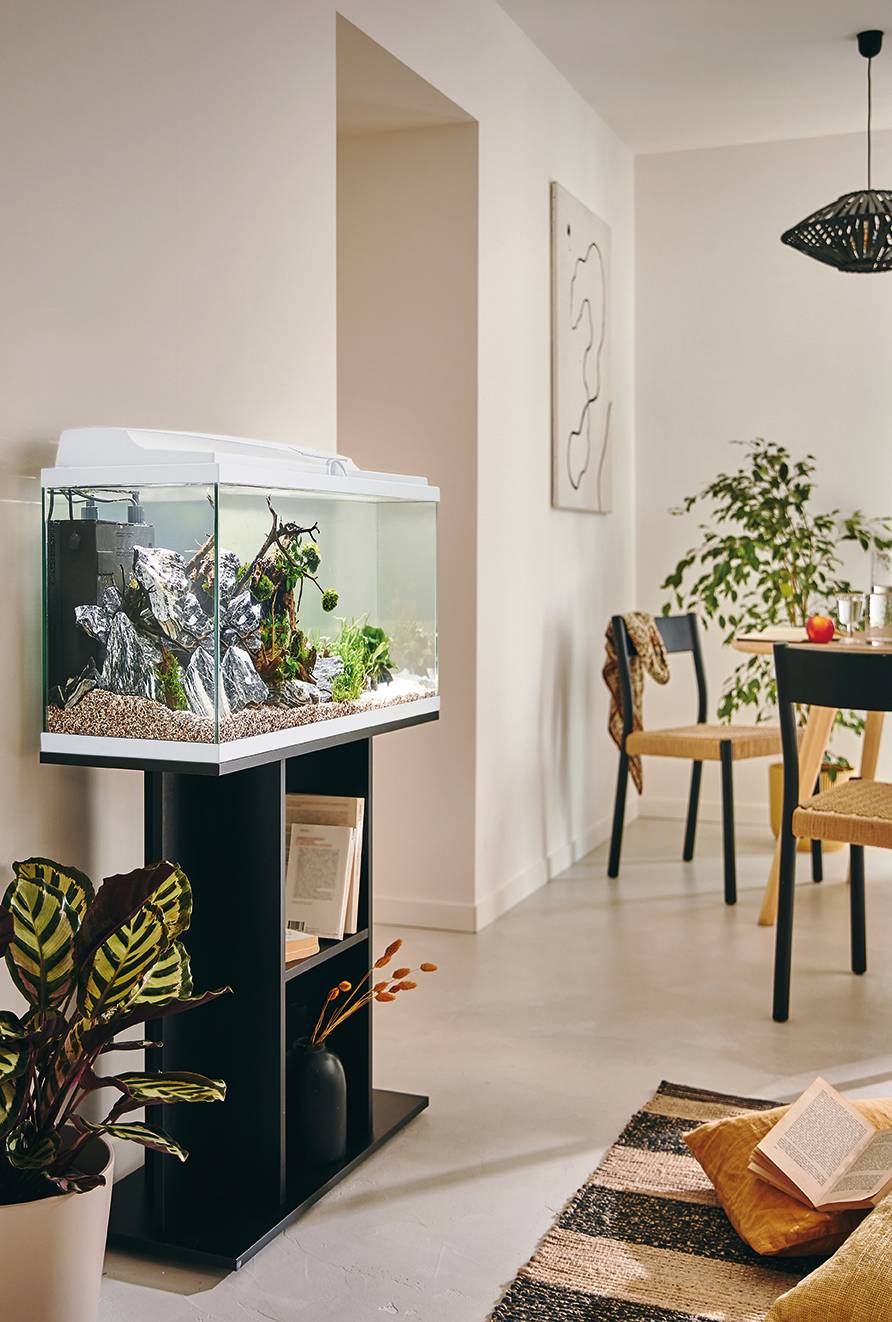 Pure Family - Aquarium pour poisson Tropical 80 Blanc 81L - Pure Family