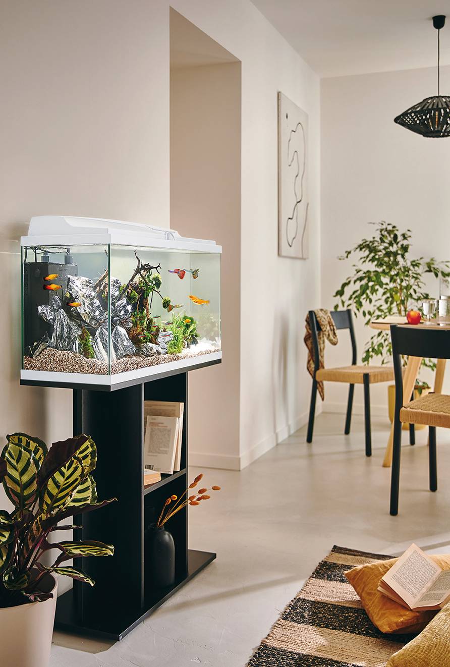 Pure Family - Aquarium pour poisson Tropical 80 Blanc 81L - Pure Family - Imagen 3