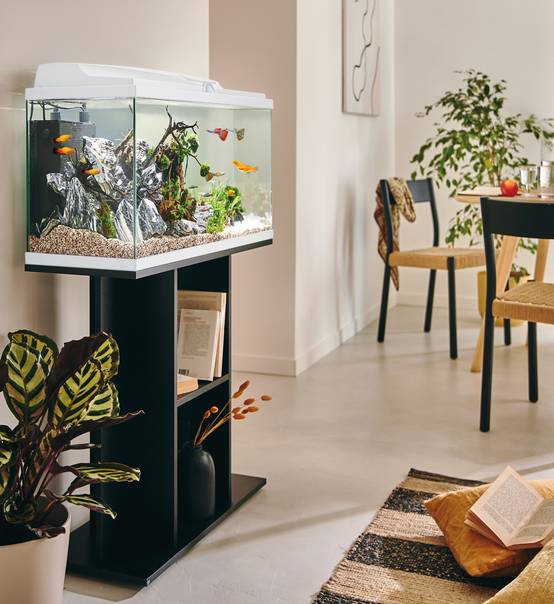 Pure Family - Aquarium pour poisson Tropical 80 Blanc 81L - Pure Family - Image 2