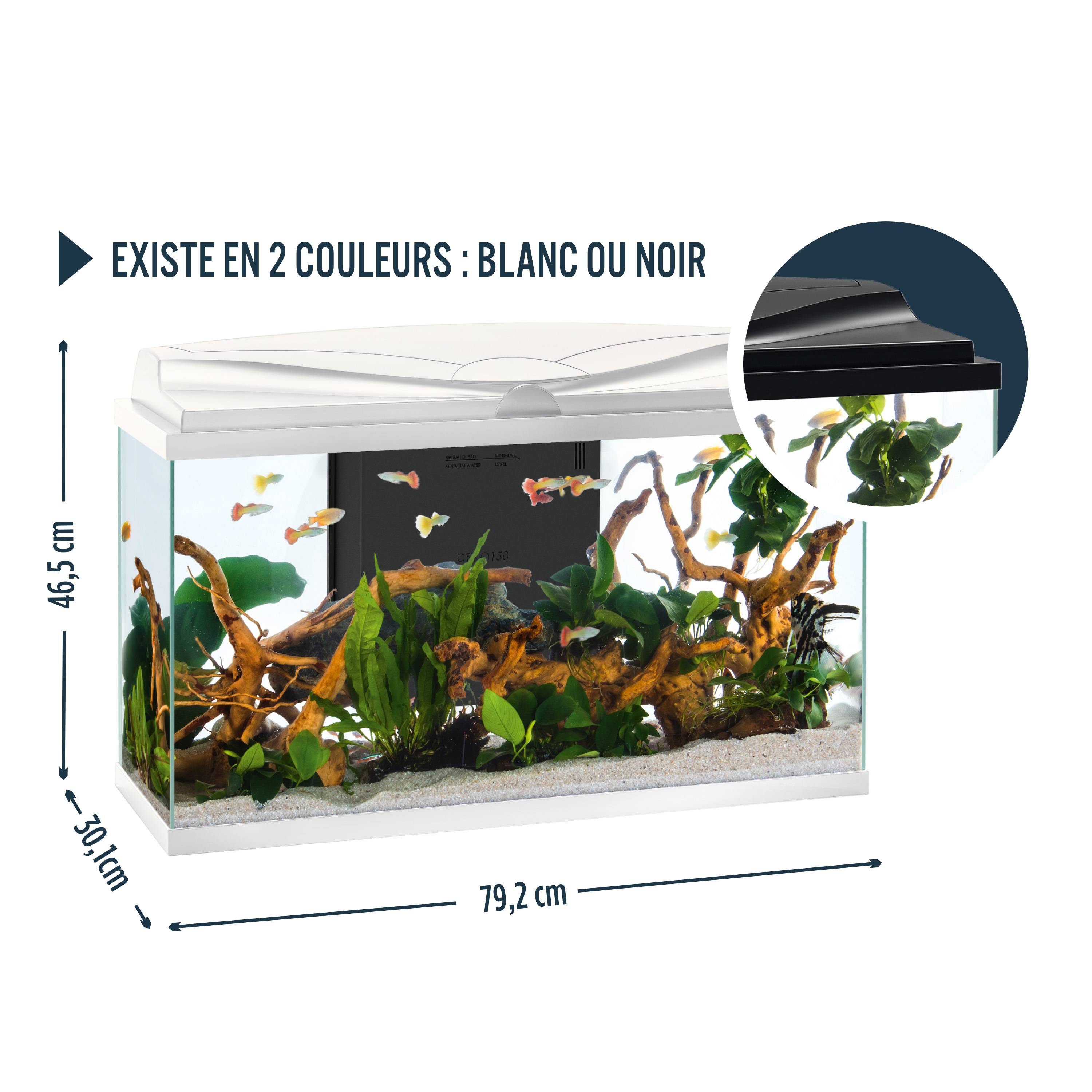 Pure Family - Aquarium pour poisson Tropical 80 Blanc 81L - Pure Family - Imagen 11