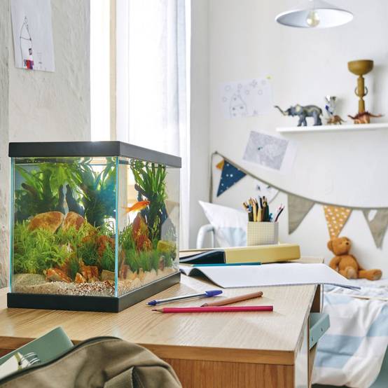 Pure Family - Aquarium Fresh 35 Start 35 noir 13 L - Pure Family - Image 3