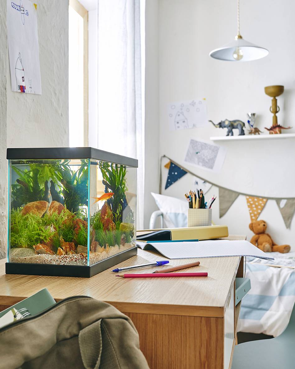 Pure Family - Aquarium Fresh 35 Start 35 noir 13 L - Pure Family