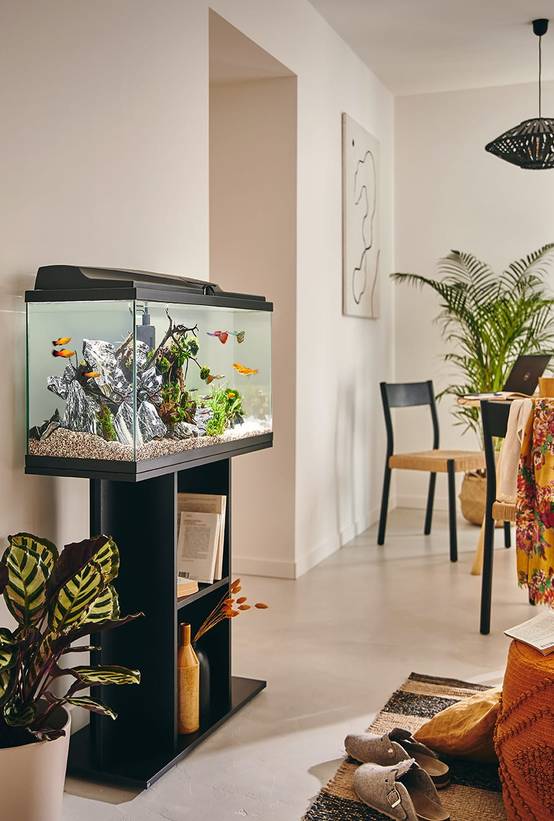 Pure Family - Aquarium pour poisson Tropical 80 noir 74 L - Pure Family - Image 2