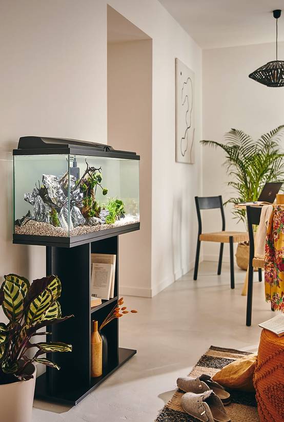 Pure Family - Aquarium pour poisson Tropical 80 noir 74 L - Pure Family - Image 1
