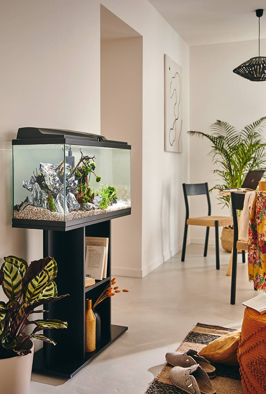 Pure Family - Aquarium pour poisson Tropical 80 noir 74 L - Pure Family