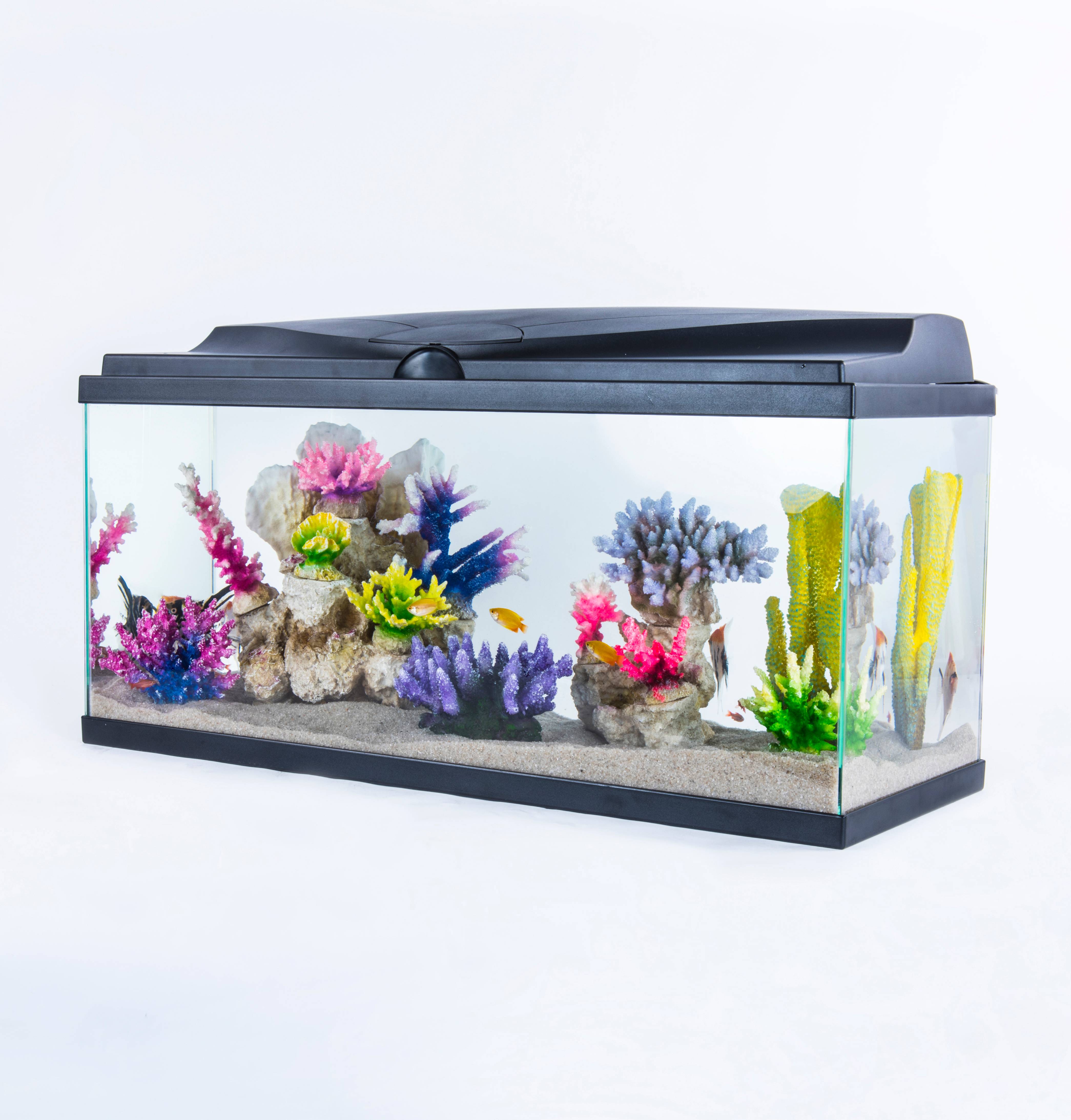 Pure Family - Aquarium pour poisson Tropical 80 noir 74 L - Pure Family - Imagen 10