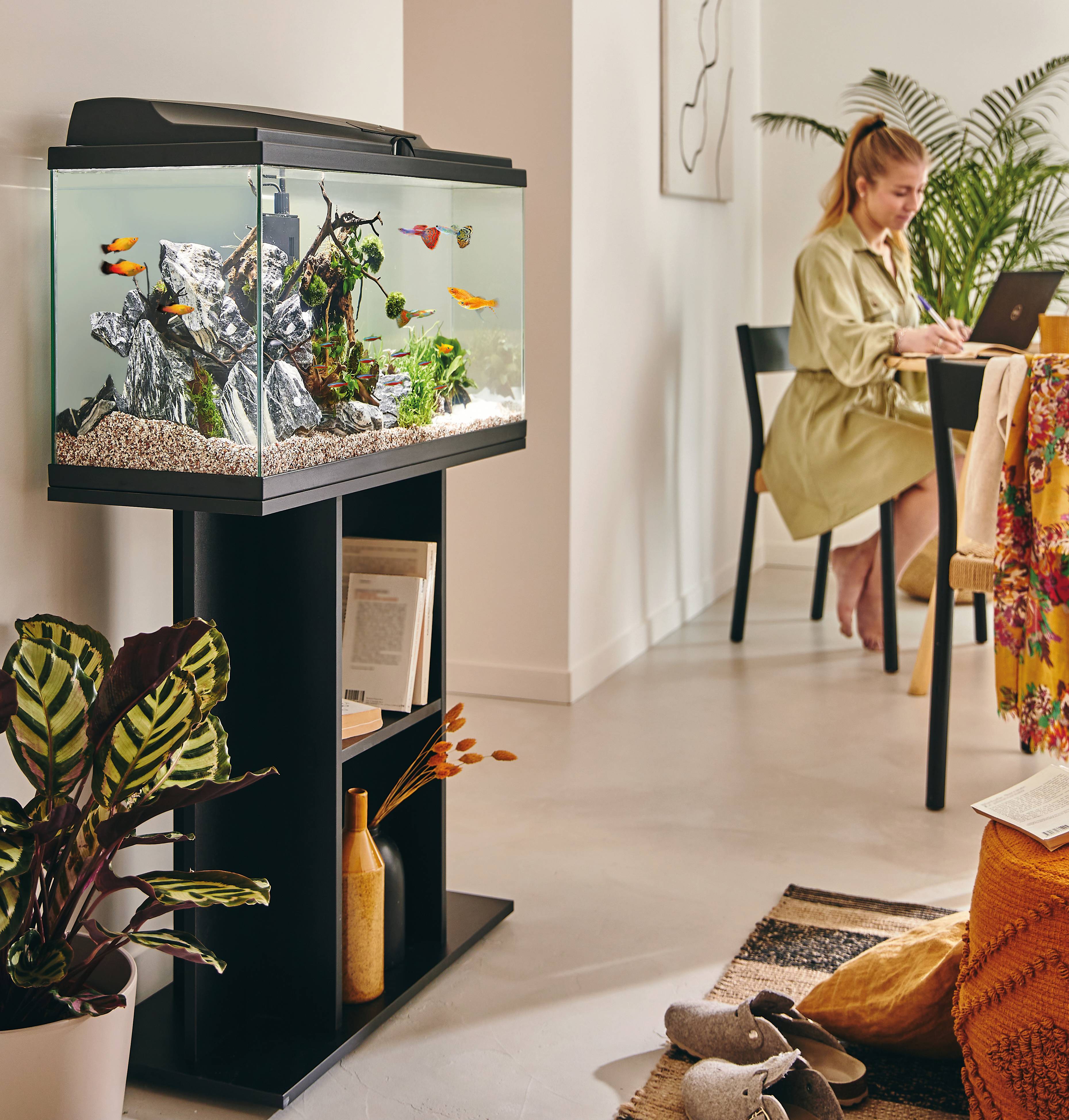 Pure Family - Aquarium pour poisson Tropical 80 noir 74 L - Pure Family