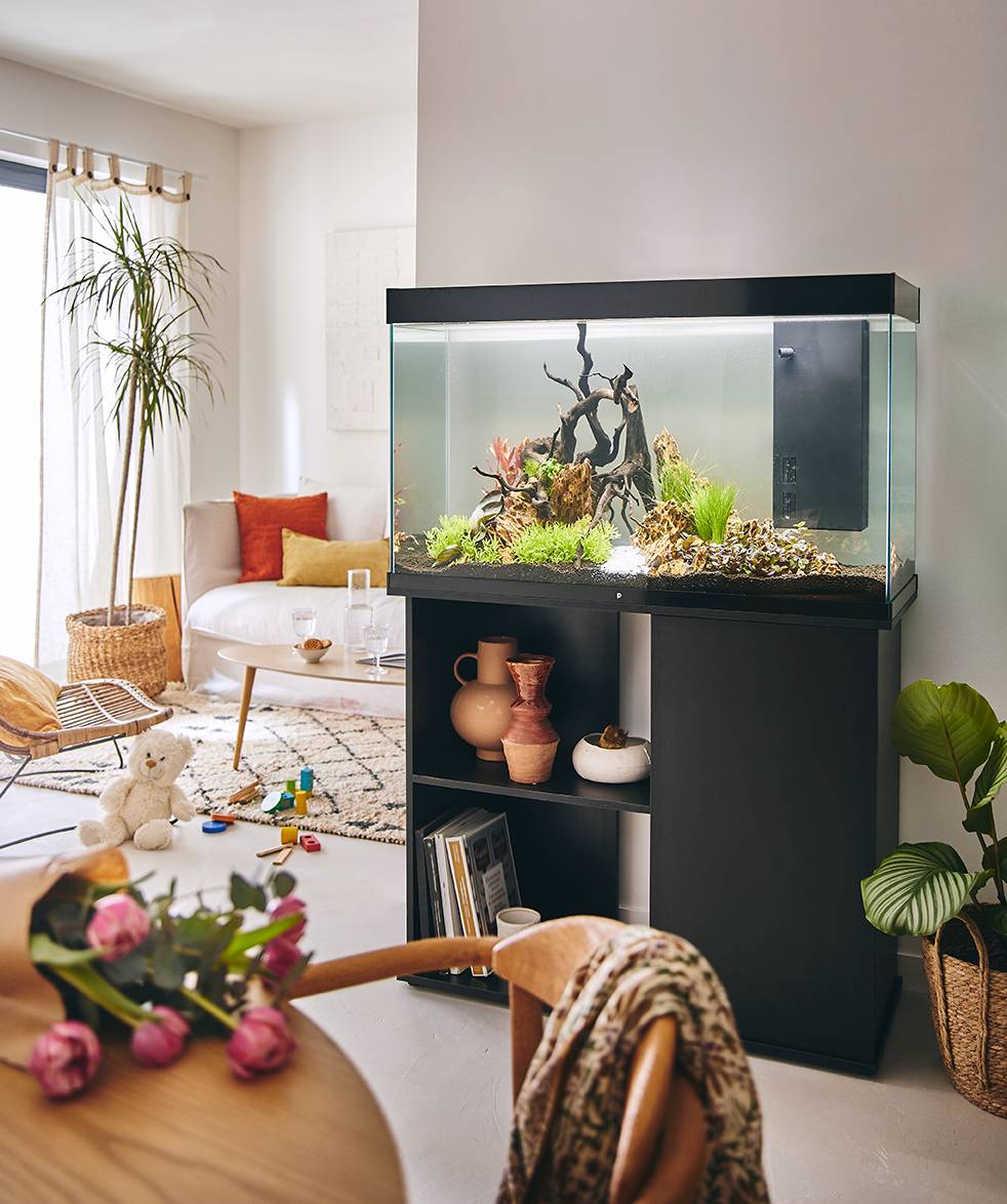 Pure Family - Aquarium pour poisson Tropical 102 XL noir 201 L - Pure Family