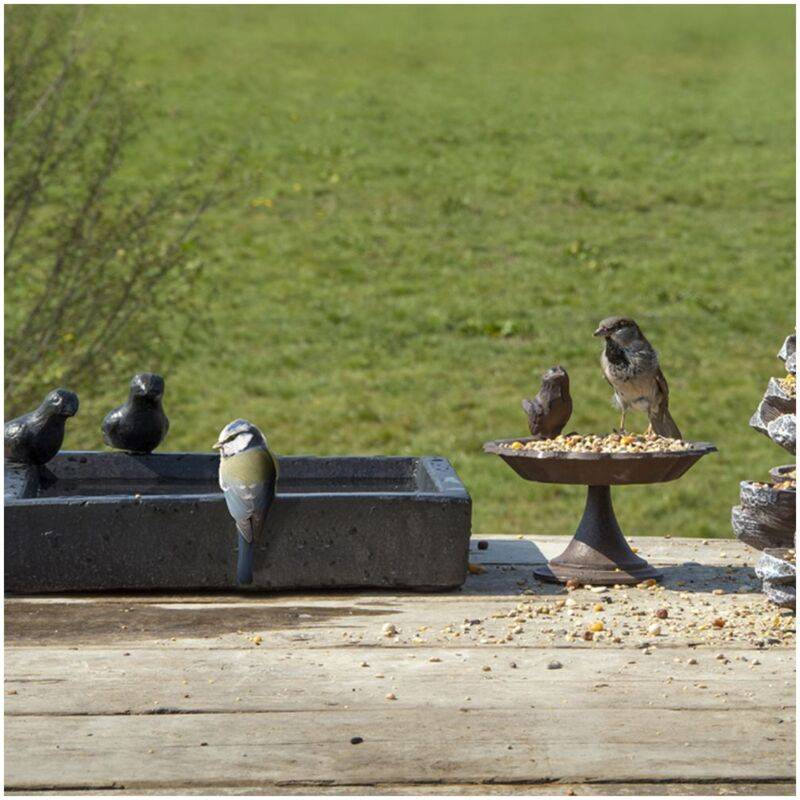 Baño para pájaros cuadrado en terrazo negro l.31.7 cm P.31.7 cm H.12.4 cm - Imagen 8