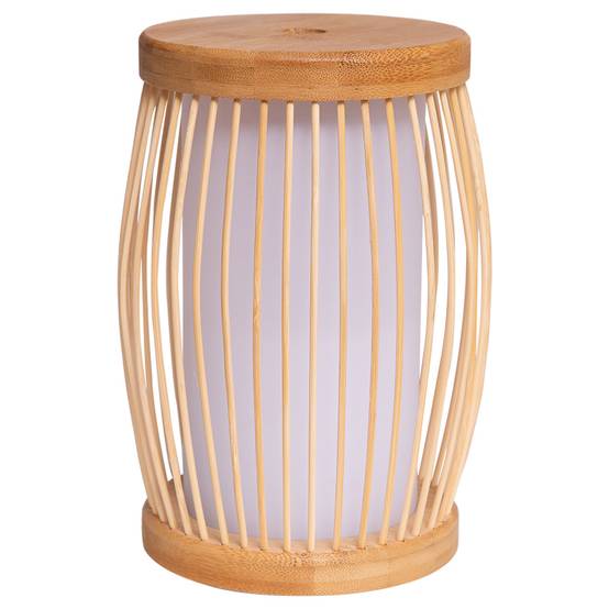 DIFFUSEUR ELECTRIQUE CANIS