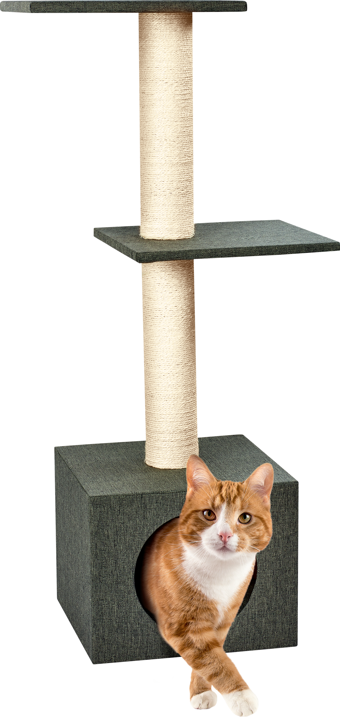 Pure Family - Arbre à chat SALTO 90 cm - Pure Family