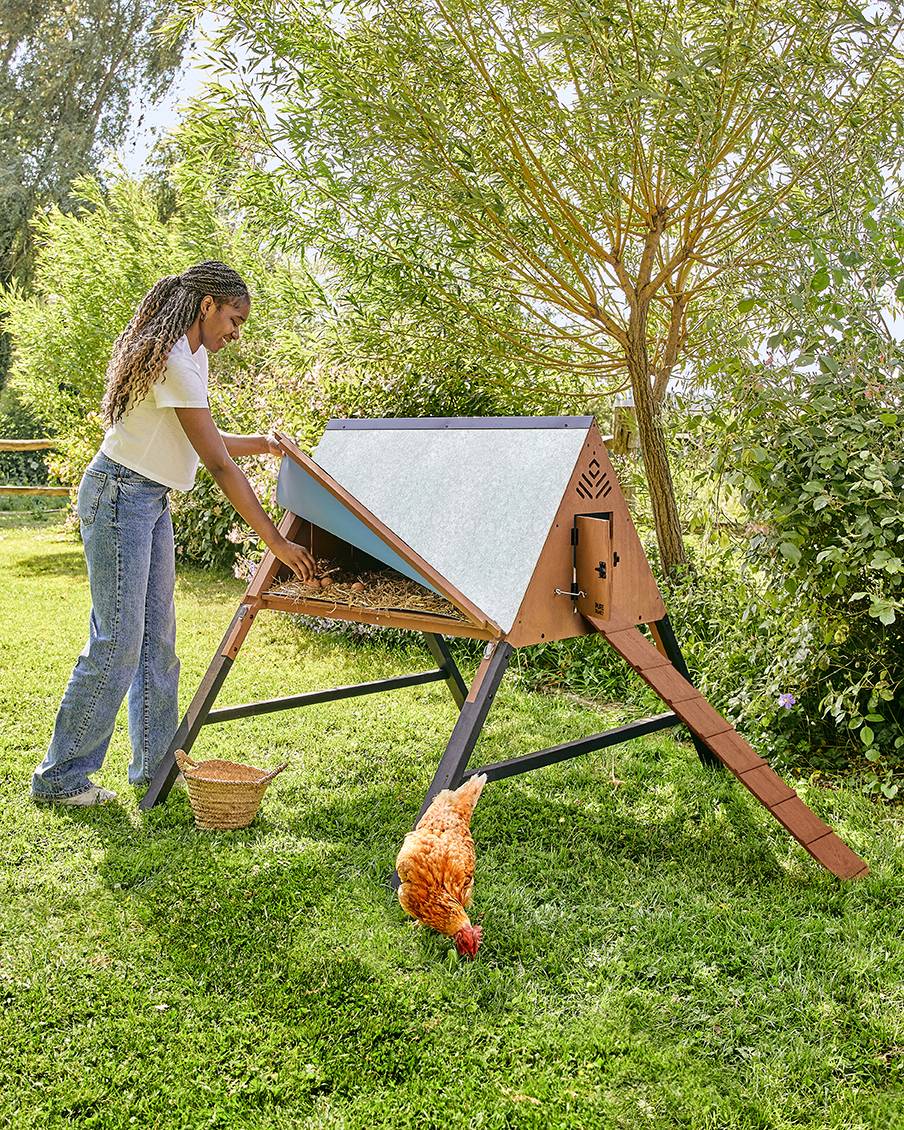 Pure Family - Poulailler en bois surélevé L'Ino 3 poules - Pure Family - Imagen 3