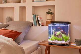 Pure Family - Nano Aquarium Harmonie 20L - Pure Family