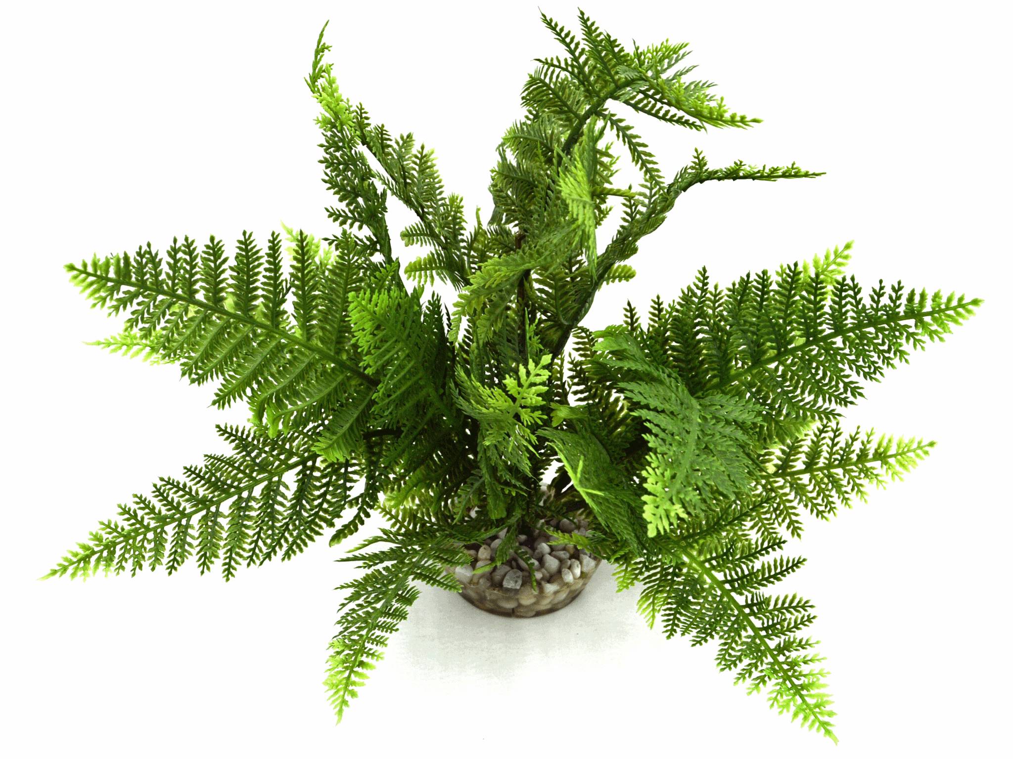 Labéo - Labéo - Décor Fougère vert artificiel - Ø.20 x H.25 cm - Image 2