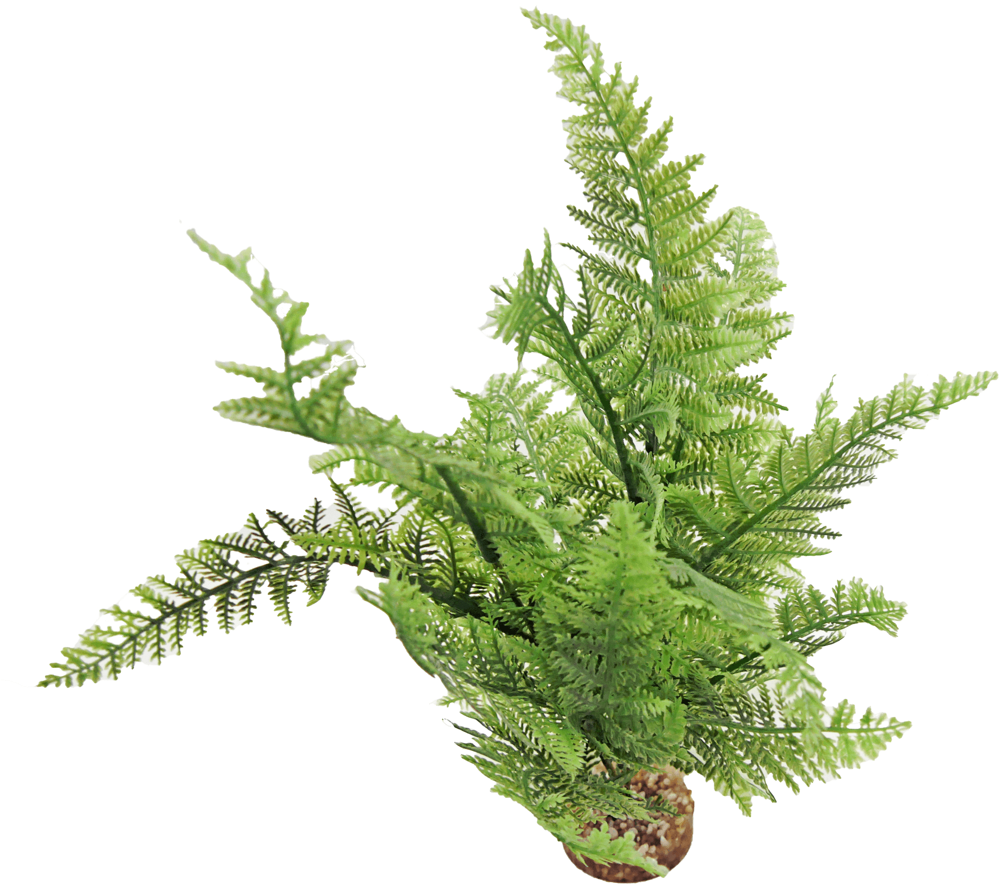 Labéo - Labéo - Décor Fougère vert artificiel - Ø.20 x H.25 cm