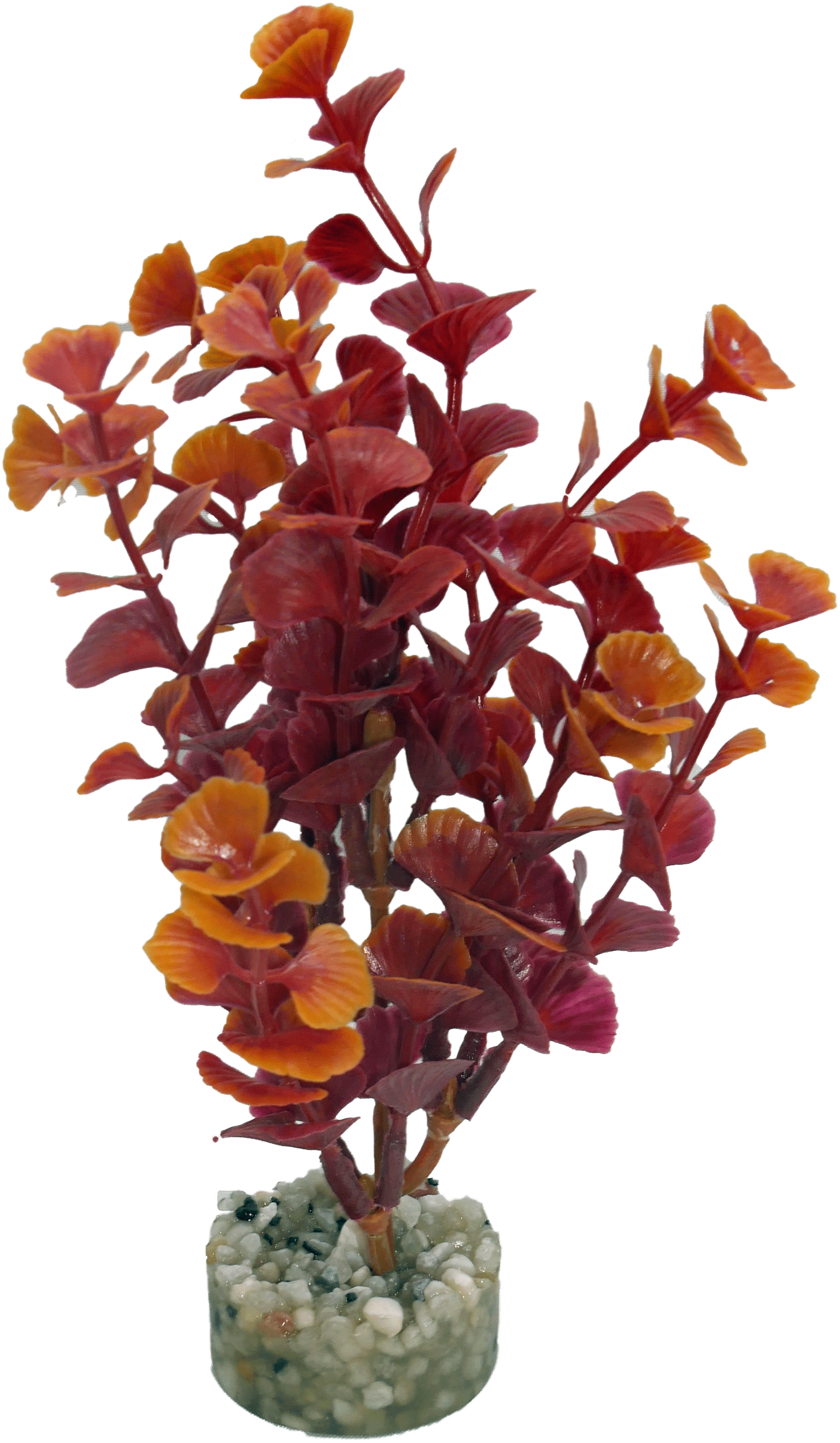 Labéo - Labéo - Décor artificiel Ledwiga Bordeaux/Marron - Ø.8 x H.16 cm - Image 1