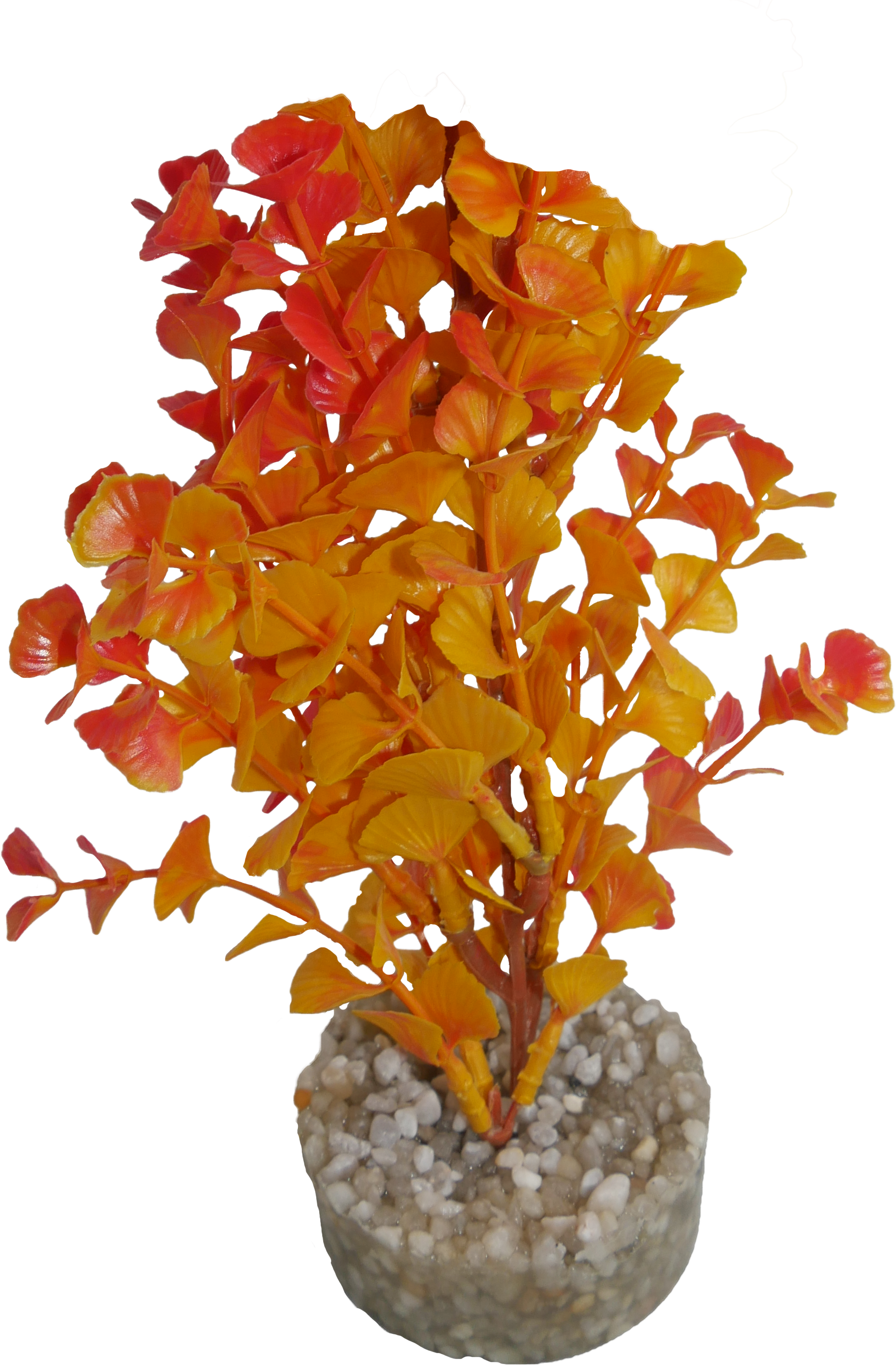 Labéo - Labéo - Décor artificiel Ledwiga Bordeaux/Marron - Ø.8 x H.16 cm - Image 2