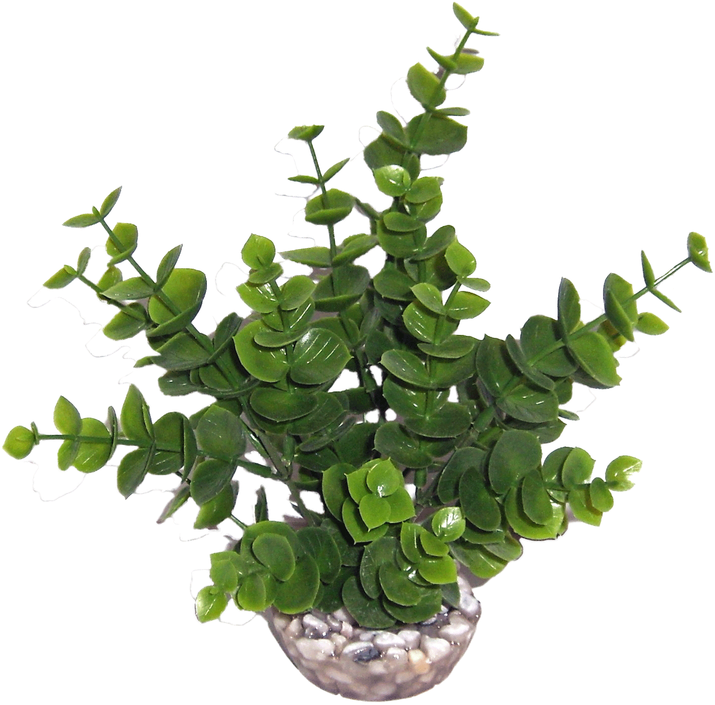 Labéo - Labéo - Décor Eucalyptus MM vert - H.18 cm - Image 1