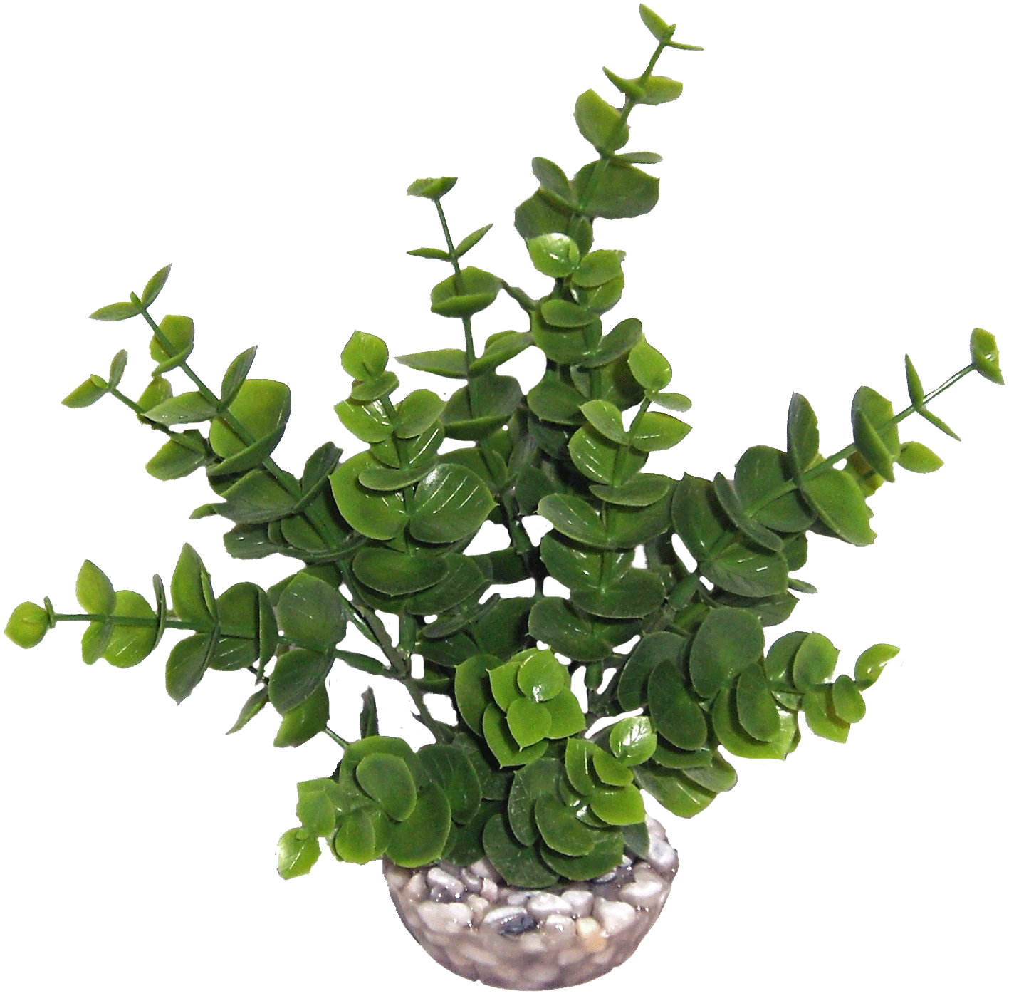 Labéo - Labéo - Décor Eucalyptus MM vert - H.18 cm - Image 2