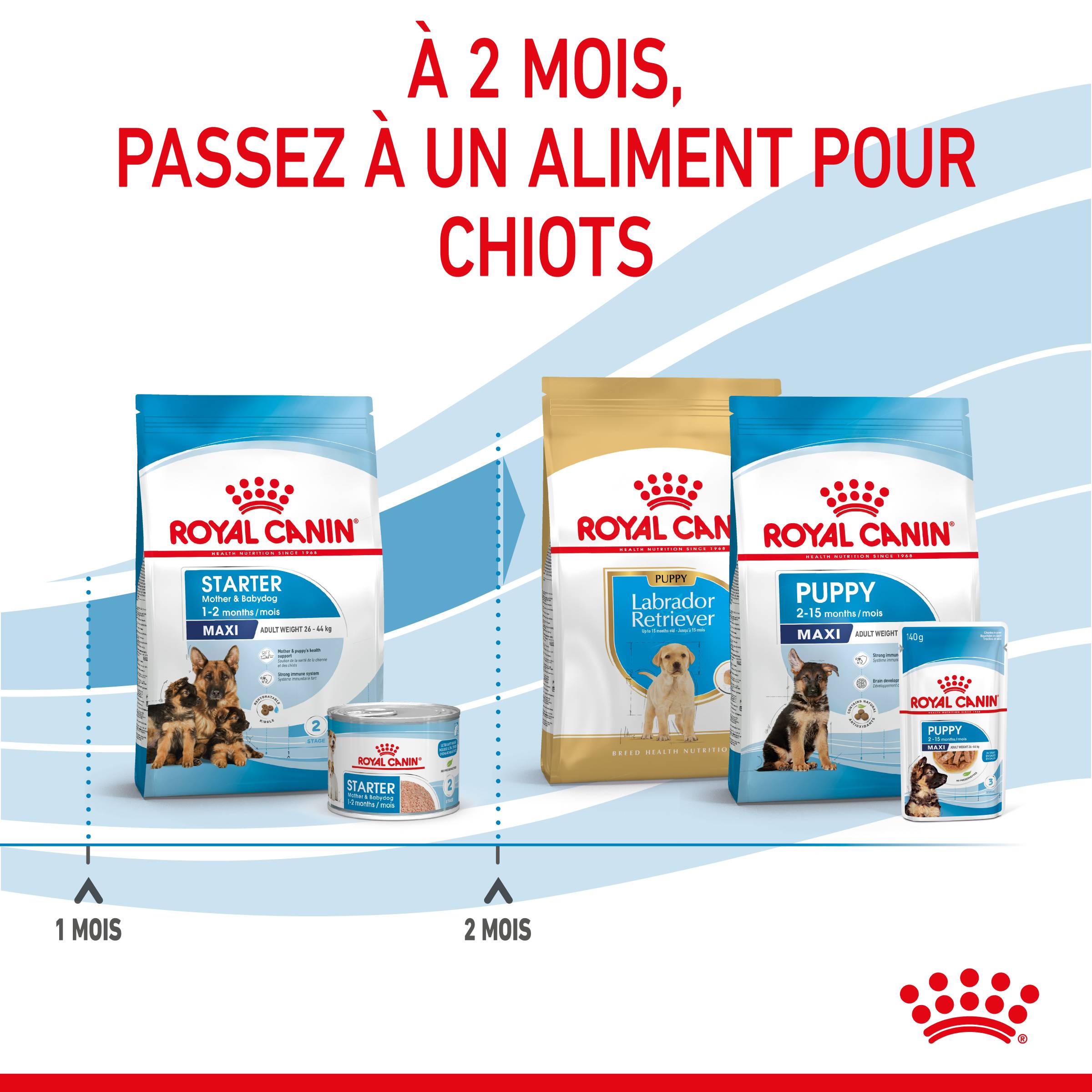 Royal Canin - Croquettes chien starter maxi chienne et chiot 15 kg – ROYAL CANIN - Image 8