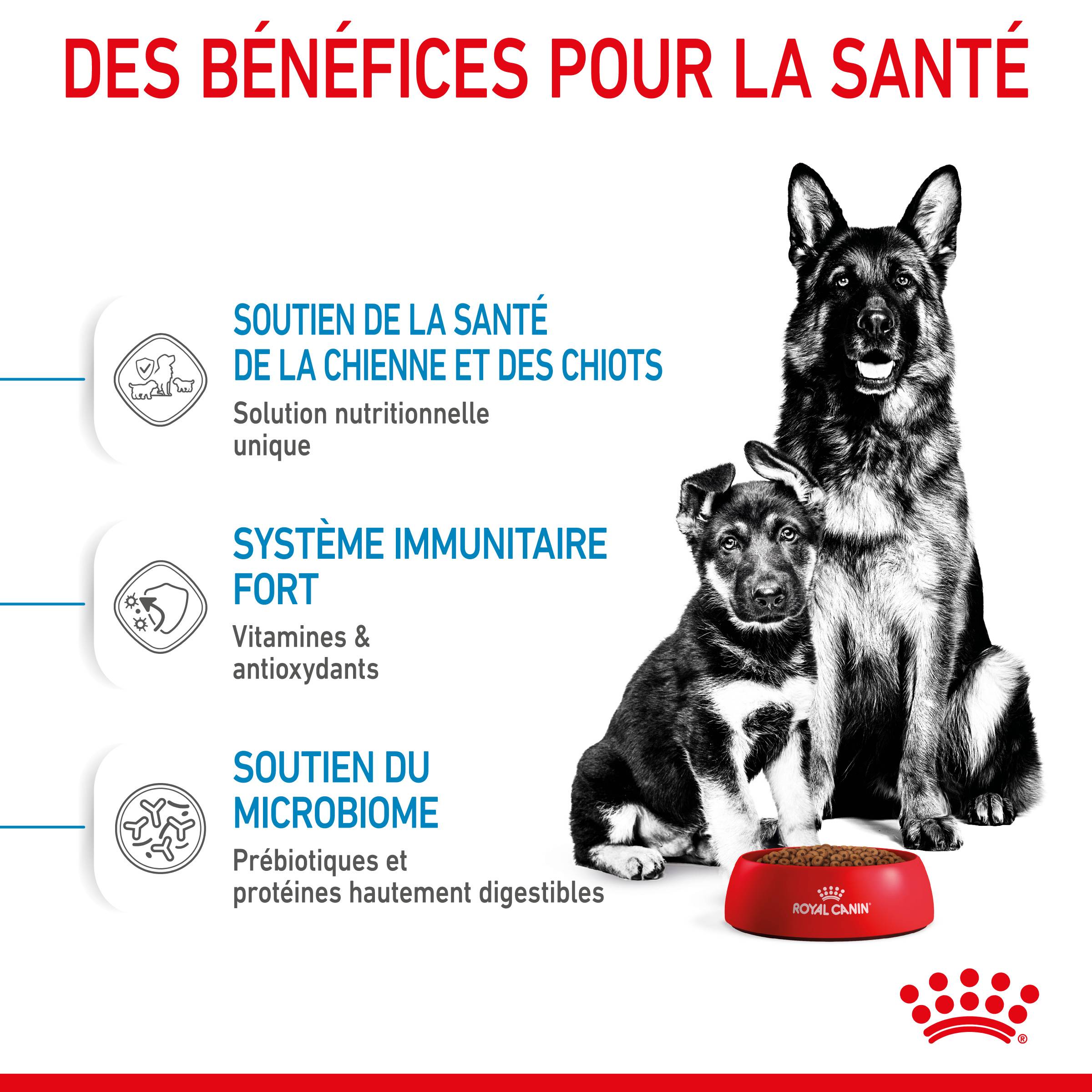 Royal Canin - Croquettes chien starter maxi chienne et chiot 15 kg – ROYAL CANIN - Image 4