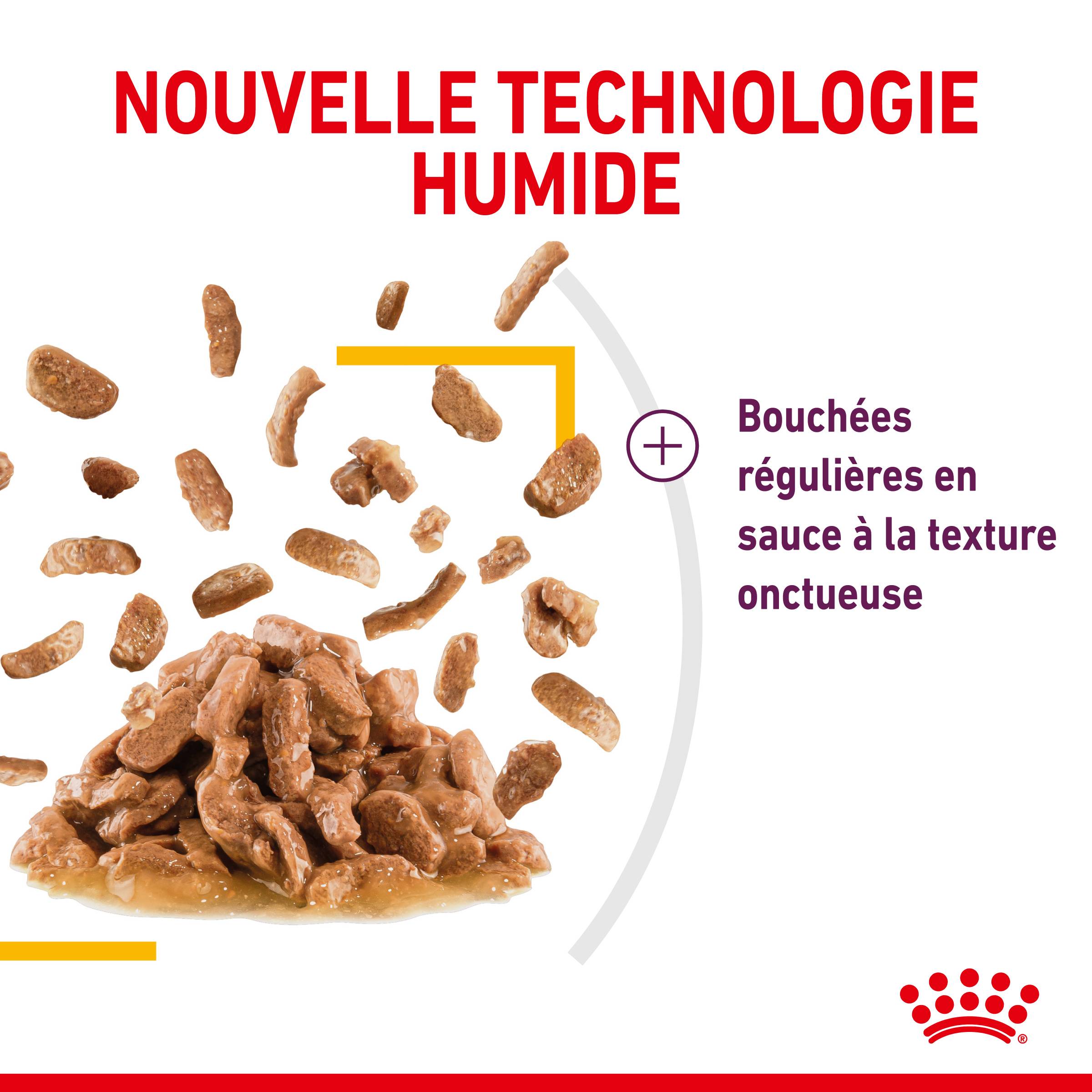 Royal Canin - Sachets fraîcheur chat Sensory Taste sauce 12X85g – ROYAL CANIN - Image 3