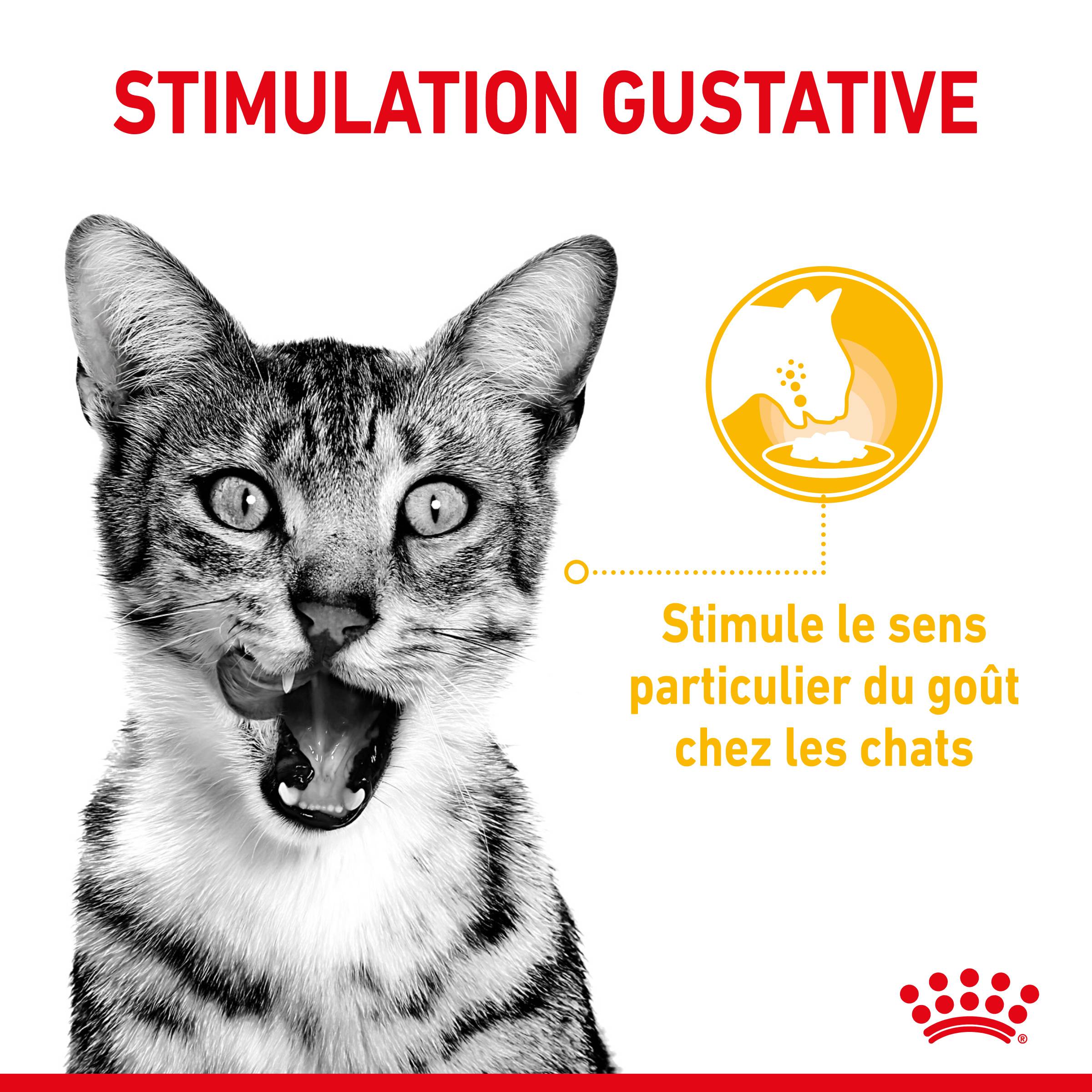 Royal Canin - Sachets fraîcheur chat Sensory Taste sauce 12X85g – ROYAL CANIN - Image 8