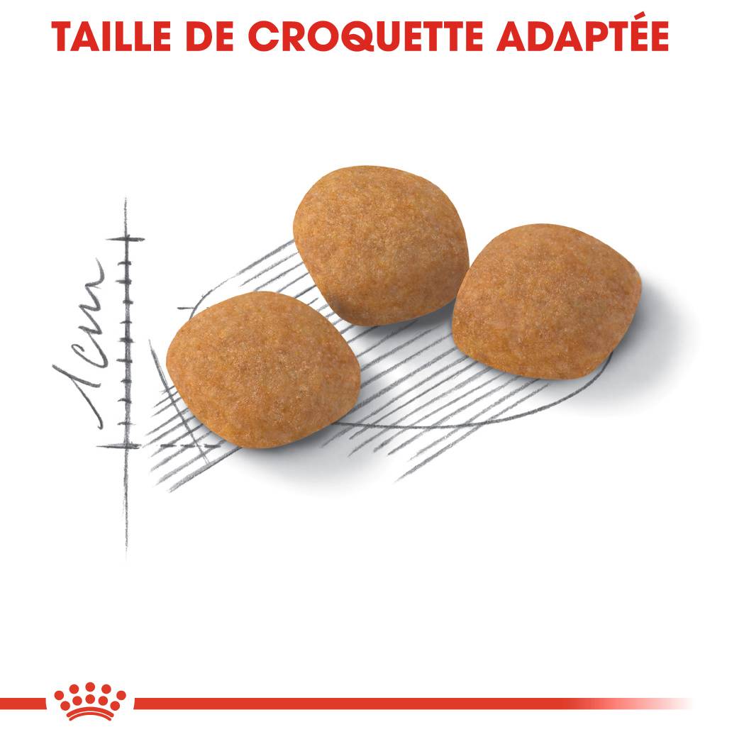 Royal Canin - Croquetas gato receptivo a las proteínas 2 kg - ROYAL CANIN - Imagen 3