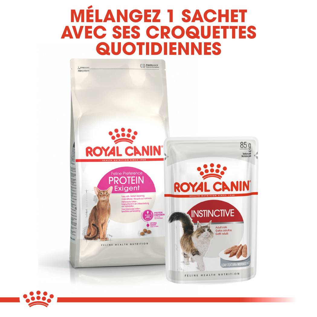 Royal Canin - Croquetas gato receptivo a las proteínas 2 kg - ROYAL CANIN - Imagen 6
