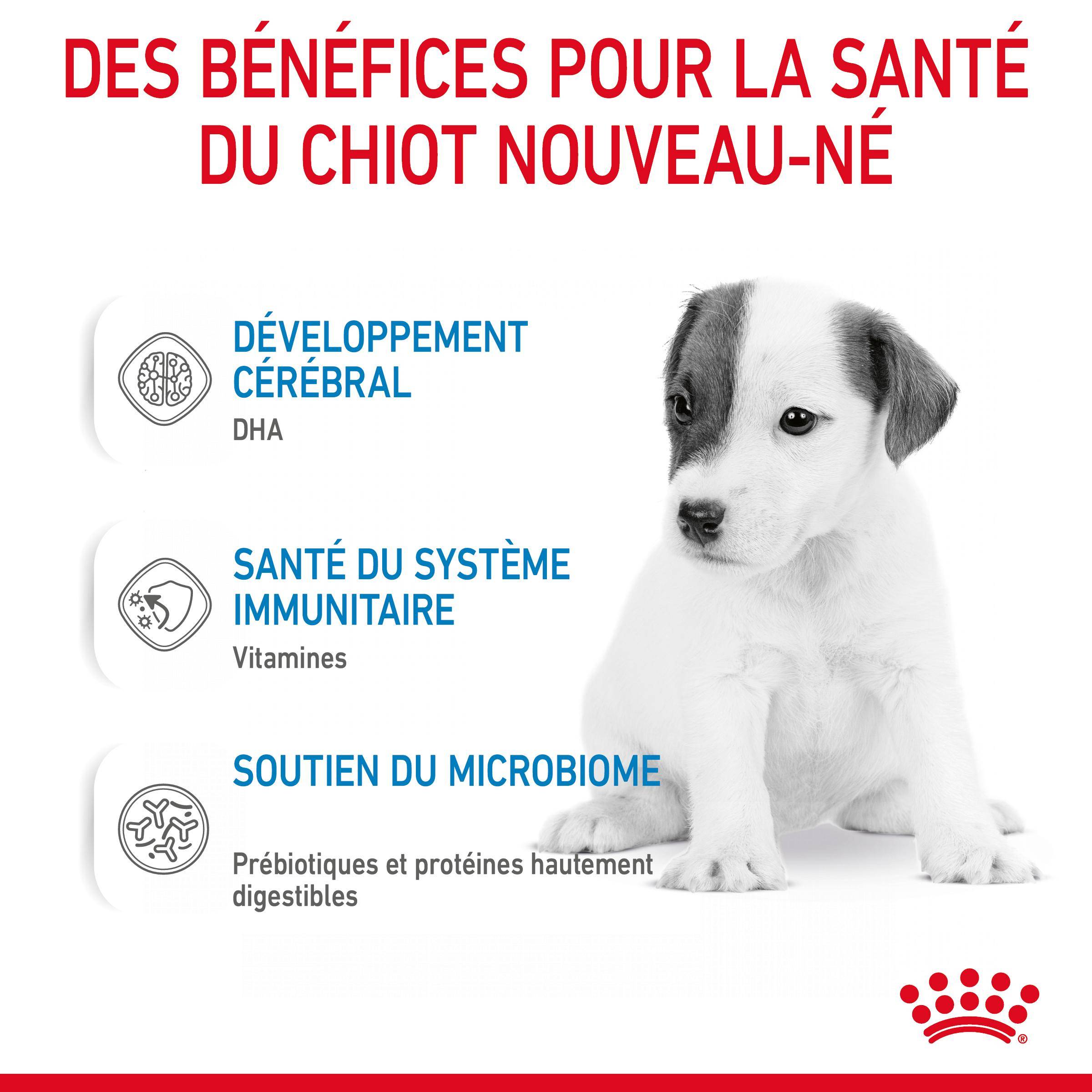 Royal Canin - Lait pour chiot Aliment 2kg - ROYAL CANIN - Image 4