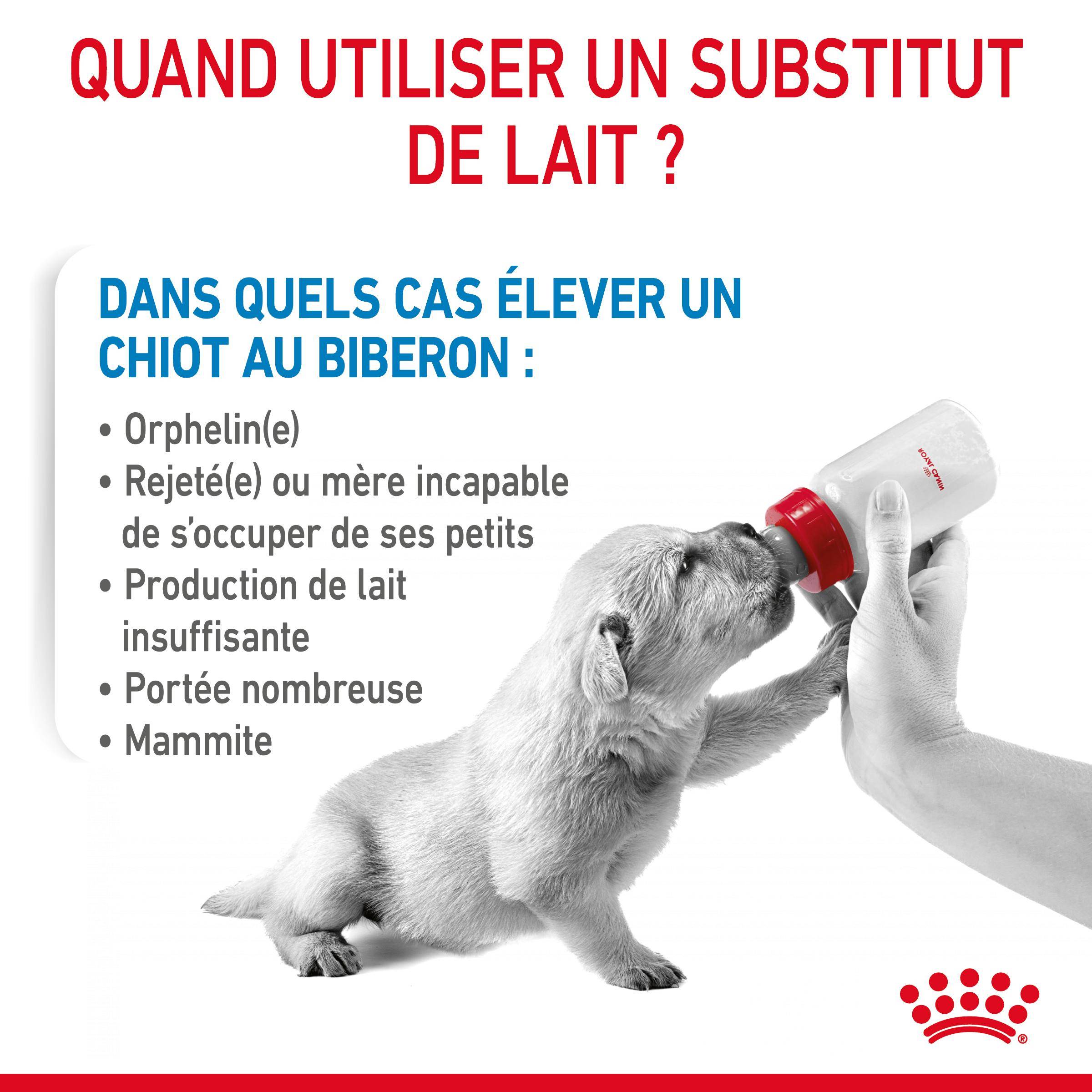 Royal Canin - Lait pour chiot Aliment 2kg - ROYAL CANIN - Image 8