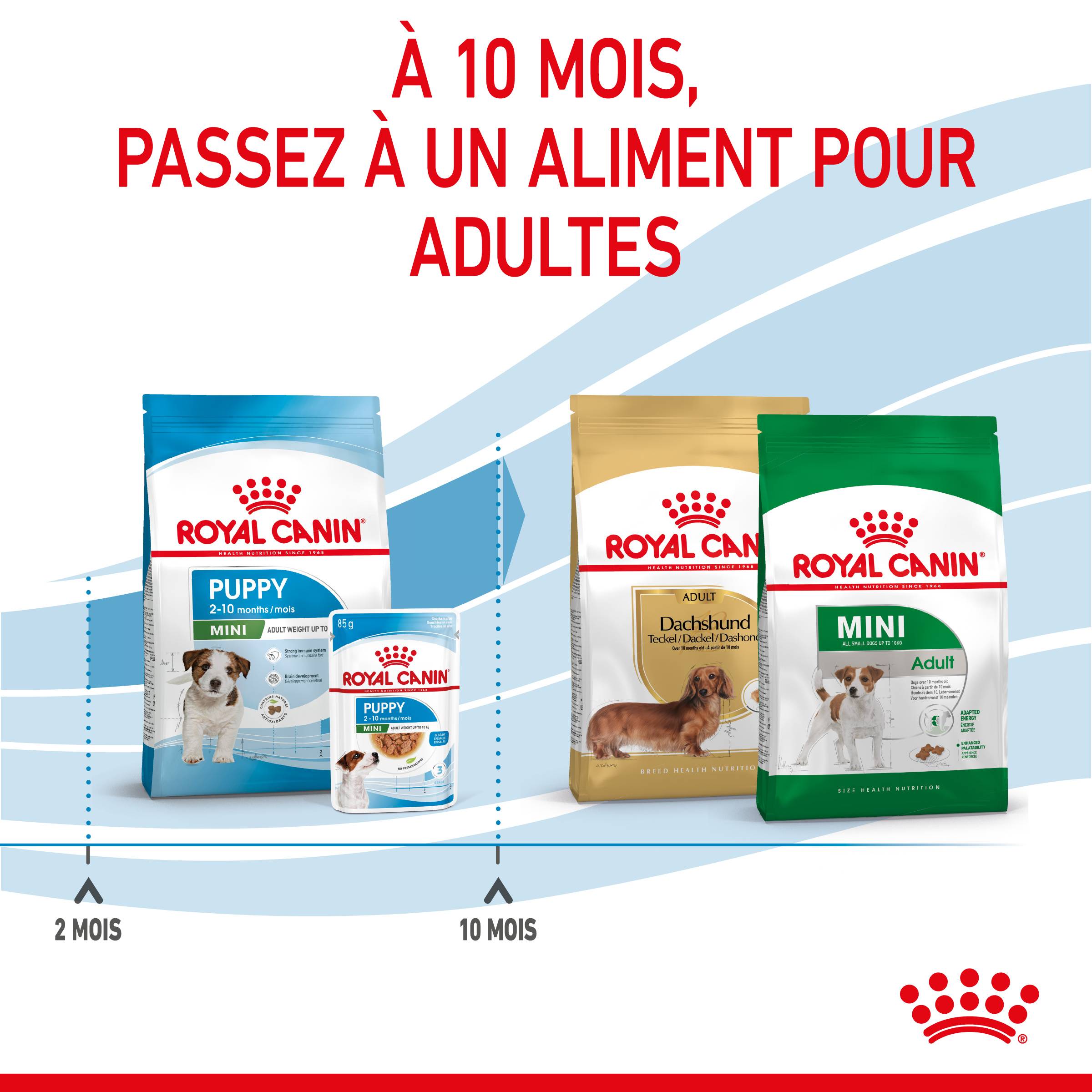 Royal Canin - Croquettes chien chiot Royal Canin Mini jusqu'à 10 mois 800g - ROYAL CANIN - Image 3